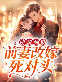 前妻已改嫁免费阅读全文