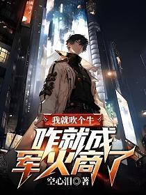 咋就成军火商了有声