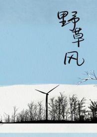 野草风盒粒讲的什么