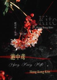 港中鸢起司霓无删减