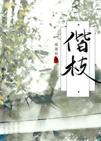岁岁相欢