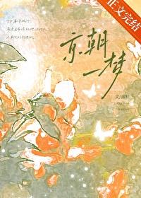 京朝一梦全文TXT百度