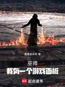 巫师游戏简介