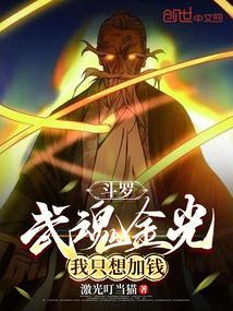 斗罗武魂金光我只想加钱TXT