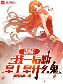 海贼我一后勤皇上皇什么鬼176章