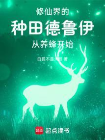 魔兽世界的德鲁伊