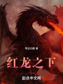 红龙之下笔趣阁无弹窗阅读