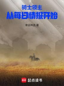骑士领主类