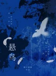 悬鸟全文免费阅读