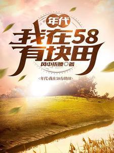 年代我在58有块田在线免费阅读