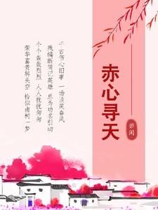 赤心寻天免费阅读