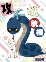 攻不可没完整+番外