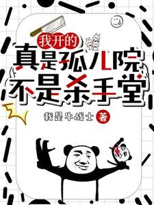 不是杀手堂简介