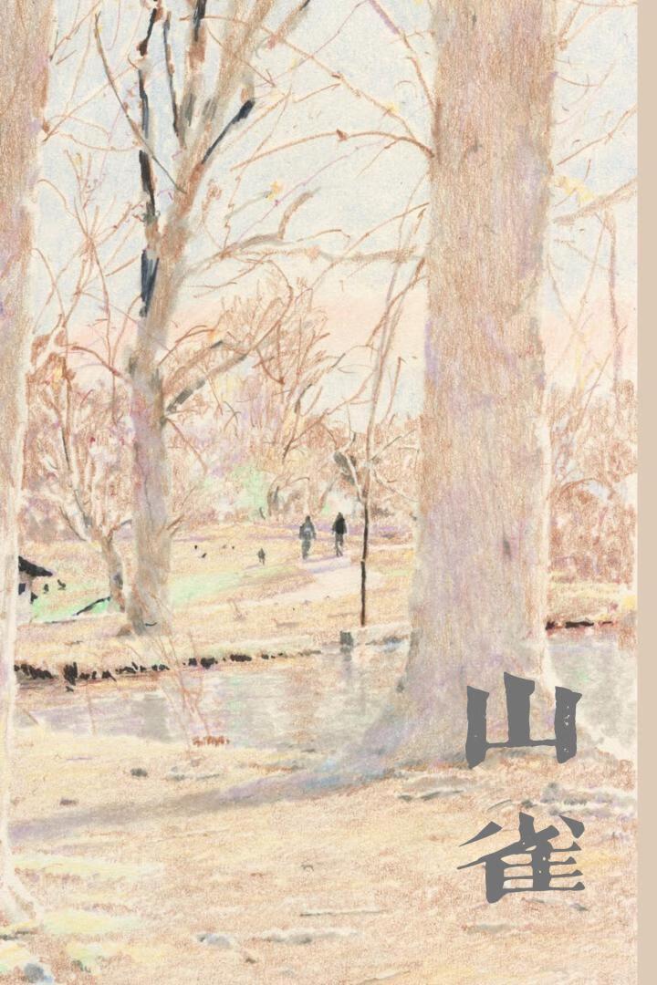 山雀是国家保护动物吗