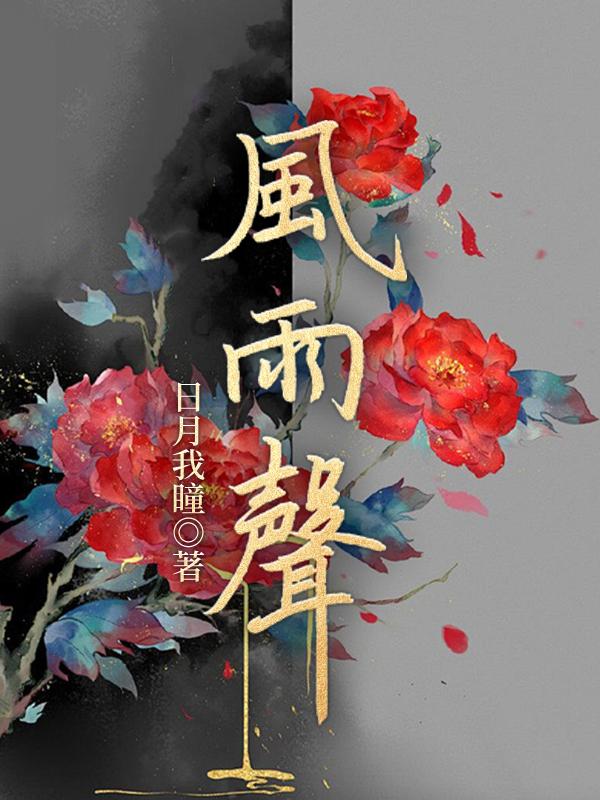 风雨声歌词是什么歌