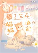 猫猫决定离开家