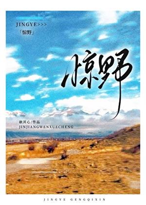 惊野免费阅读TXT