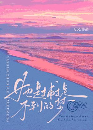 她是捕捉不到的梦原著