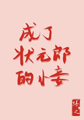 成了状元郎的小妾作者司一九
