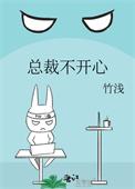 总裁不开心晋江
