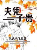 太子他夫凭子贵