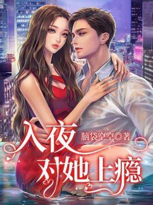 入夜的意思
