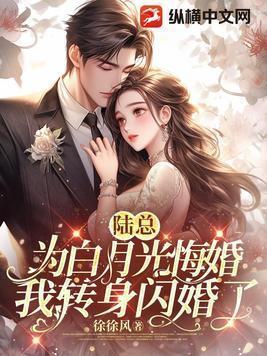 我转身闪婚了 徐徐风txt
