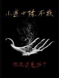 小道士陈不欺真实身份