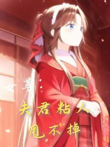 女尊之夫君个个不好惹