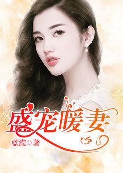 盛宠妻宝全文免费阅读