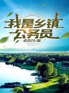 我是乡镇公务员的作者简介