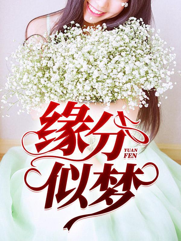 缘分似梦阅读
