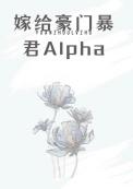 嫁给豪门顶a后被狠狠宠笔趣阁讲什么