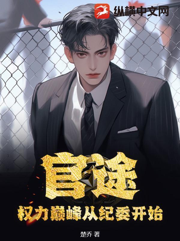 权力巅峰从纪委开始免费阅读