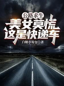 公路求生美女莫慌