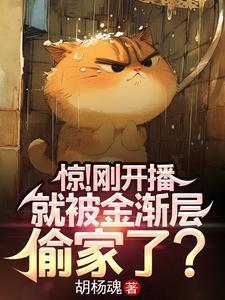 金渐层猫的视频