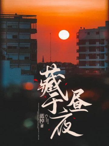 藏于昼夜TXT