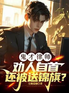 鬼才律师劝人自首还被送锦旗? 在线 免费