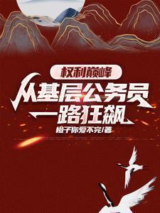 权力巅峰从基层公务员一路狂飙橙子你爱不完 / 著
