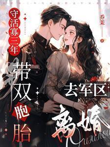 带双胞胎去军区离婚动画