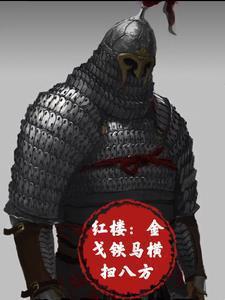 红楼金戈铁马横扫八方最新章节