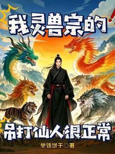 灵兽对战