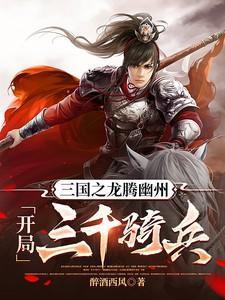 三国之龙图天下免费阅读