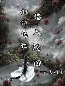 封印记忆踏入轮回 21只烟