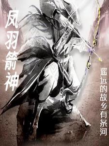 箭羽风息特效