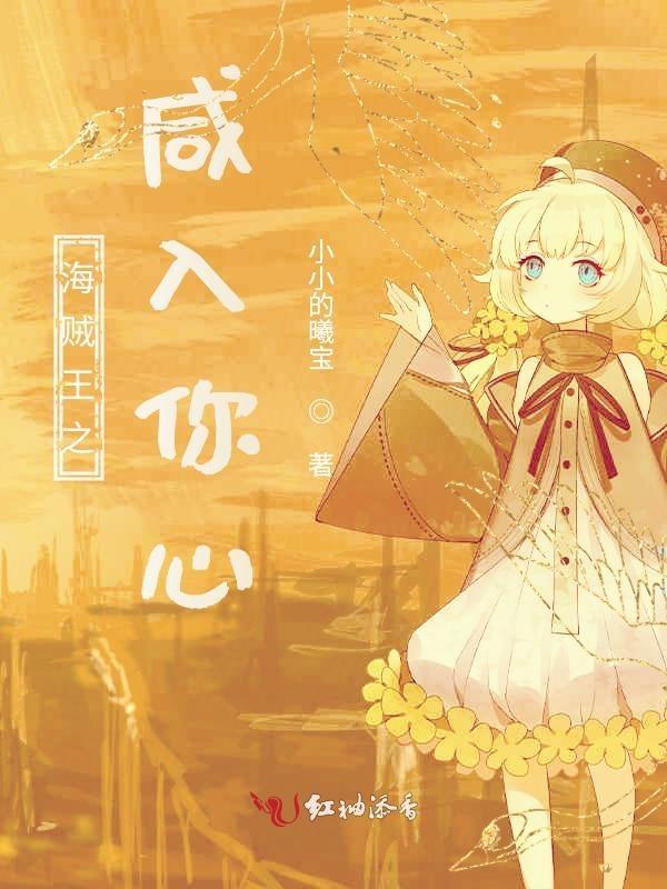 海贼王之一