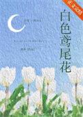 白色鸢尾花的花语是