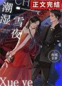 潮湿雪夜 本书作者 南城非梦