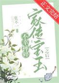 不幸摔碎家传宝玉之后134