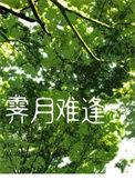 霁月难逢40集免费观看